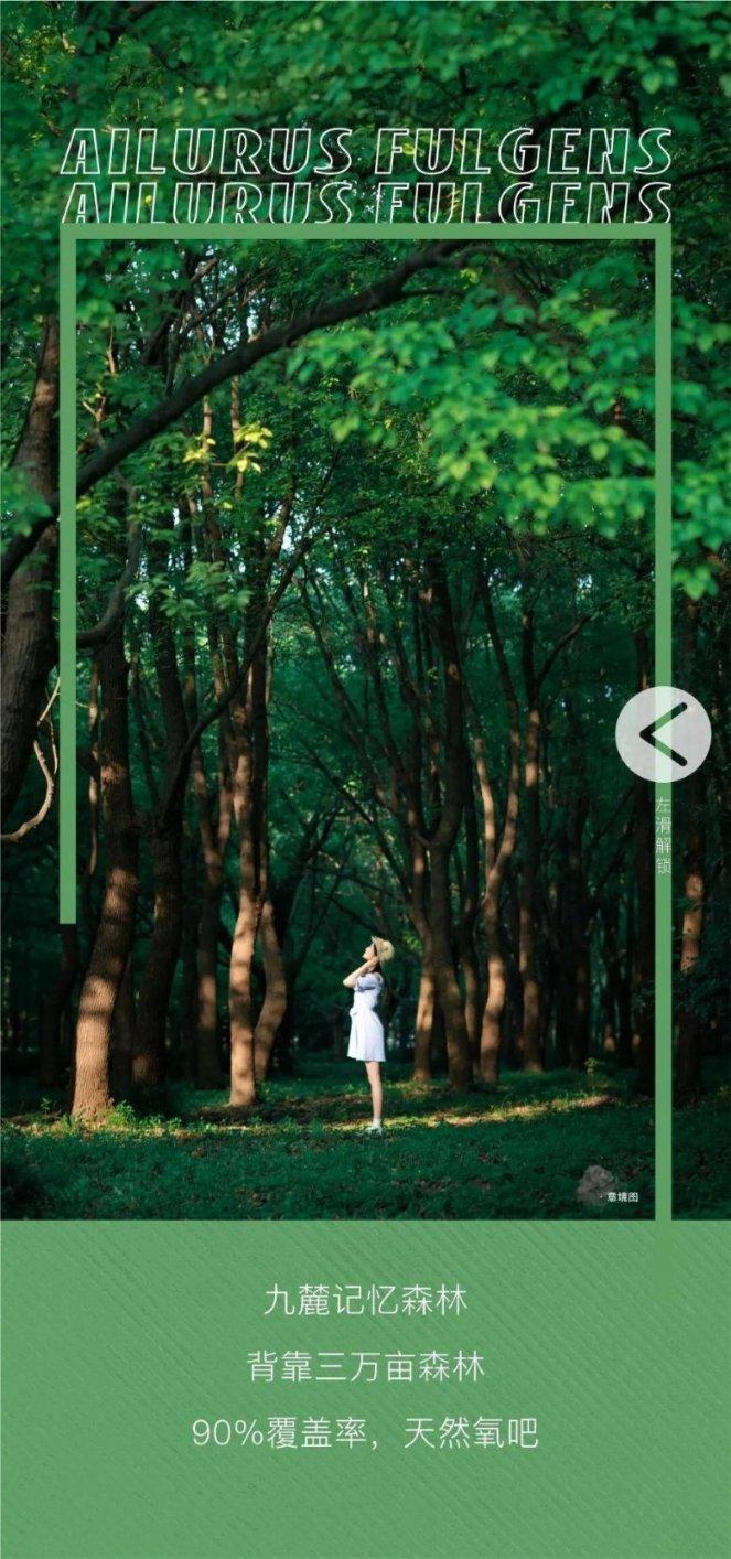 执法总队召开2024年度全市城管执法宣传工作研讨会
